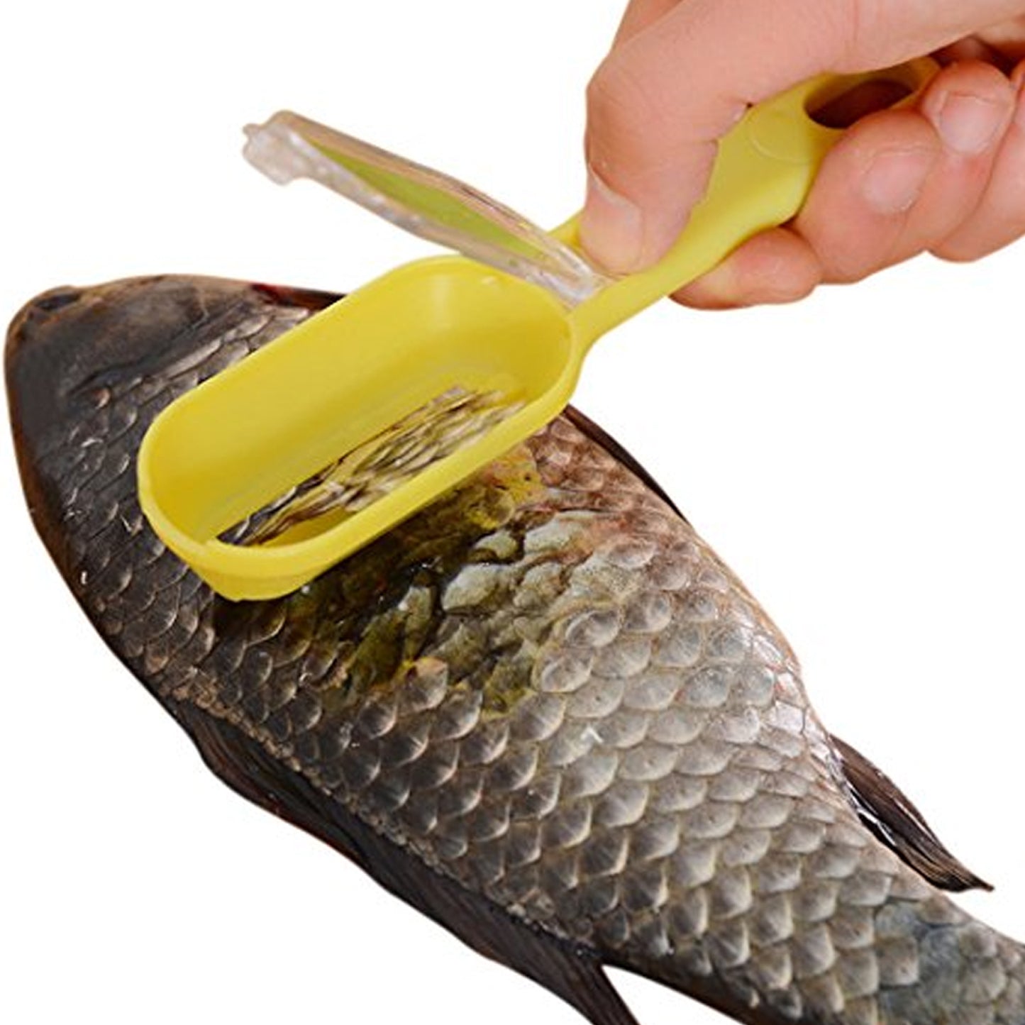 Plastic Fish Scales Graters Scraper Fish Skin Brush Fish Cleaning Tool Scraping Scales Device With Cover Home Kitchen Cooking Tools 1 Pieces