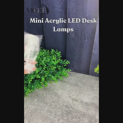 Battery Operated Decorative Led Mini Desk Lamp (24 Pc  Set)